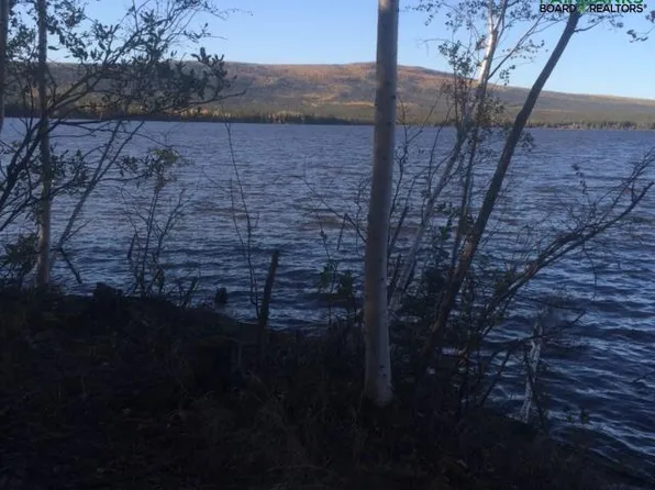 Nhn Minto Lake, Minto, AK 99758