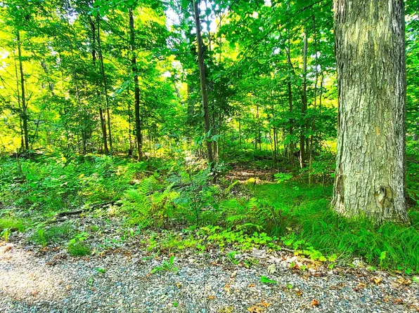 Lake View Dr #32, Pickerel, WI 54465