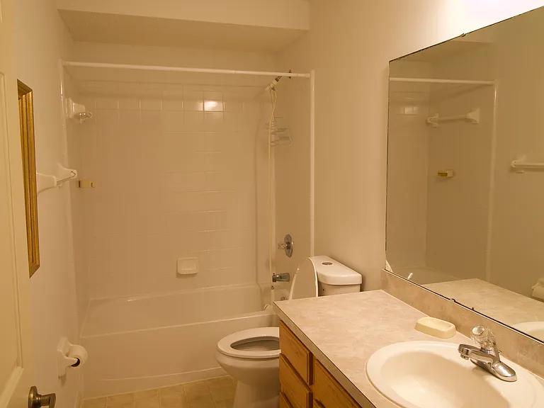 Guest bathroom