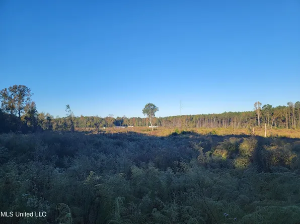 Haralson Ln, Forest, MS 39074