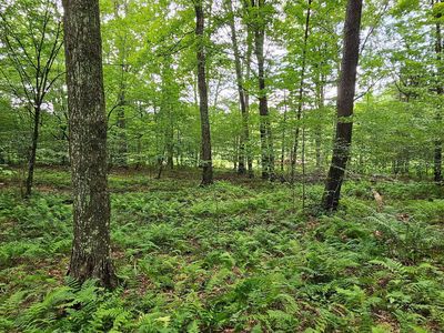 492 Chicopee Rd, Equinunk, PA, 18417