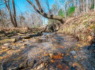 21AC Synacia Dr, Mineral Bluff, GA 30559