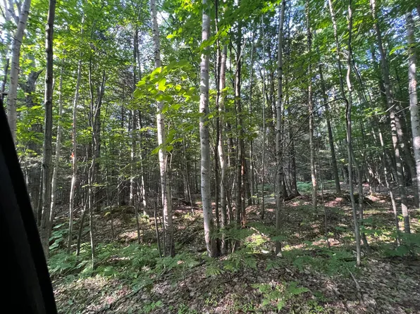 No Fire No Martin Ave, Grand Marais, MI 49839