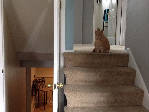 Stairs - Up and Down