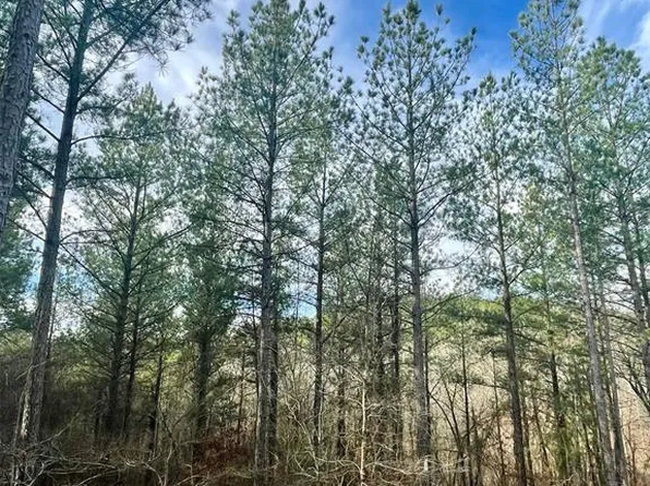 707 Timber Creek Trl, Broken Bow, OK 74728