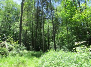 Brinton Rd, Brackney, PA 18812