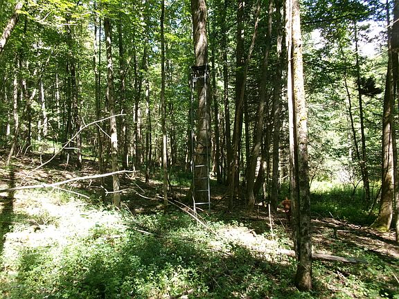 5th image of 478 Dunham Rd