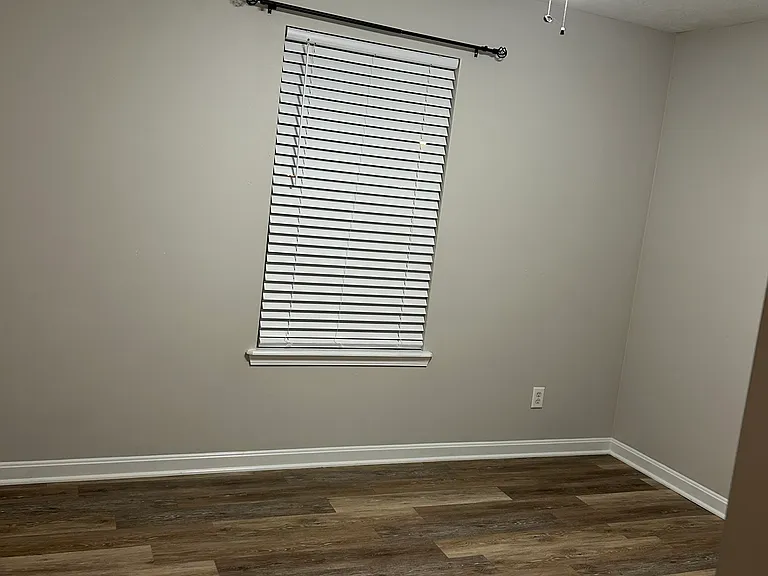 307 Savannah Nicole Rd — Photo 20
