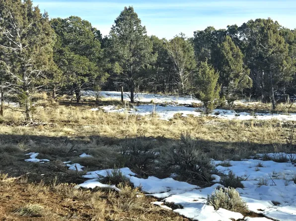 571 Mourning Dove Trl, Norwood, CO 81423