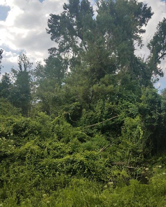 2nd image of 3838 Forrest Dr