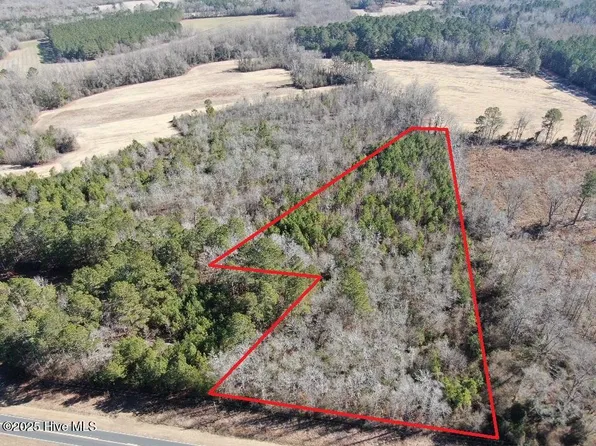 4.2 Acres Figure 9 Road, Council, NC 28434