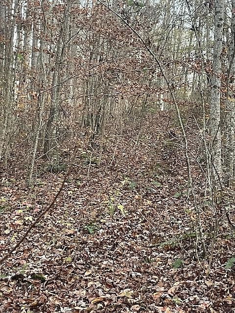 1st image of 468 Horns Creek Rd