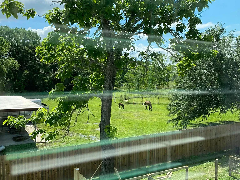 View from back bedroom window