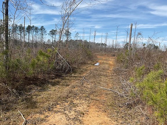 3rd image of 2500 Nixon Rd