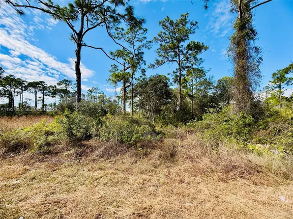 2007 Truman Ave, Alva, FL 33920