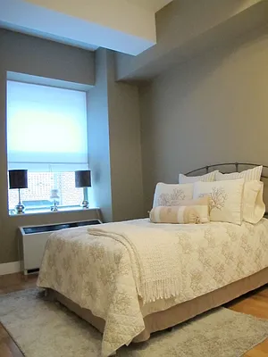 Rented by NY Living Solutions | media 78