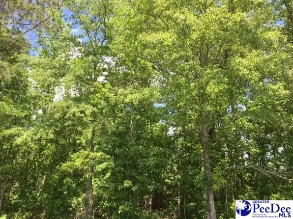 Spencer St, Lydia, SC 29079