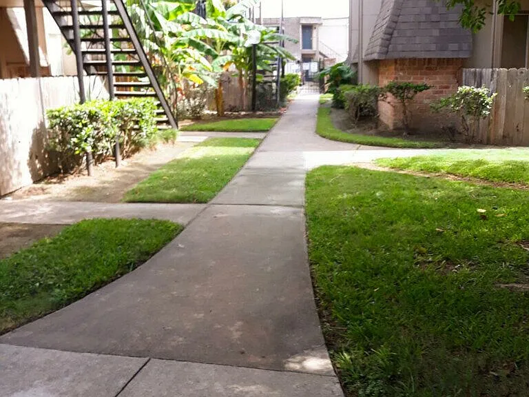 Pine Arbor — Photo 8