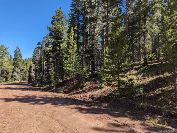 2807 Moir Drive, Fort Garland, CO 81101