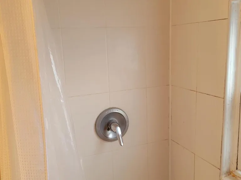 505 Apple St — Photo 24