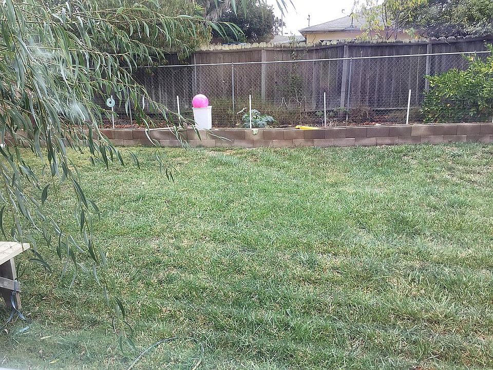 Nice kept backyard 