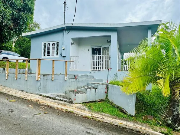 La Rebalosa Bo Montellano, Cidra, PR 00739