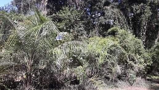 2nd image of 1700 SW 63rd Ave