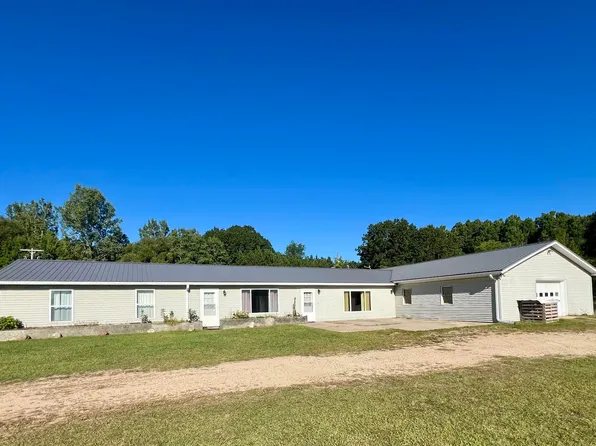 10911 E Lake Montcalm Rd, Riverdale, MI 48877