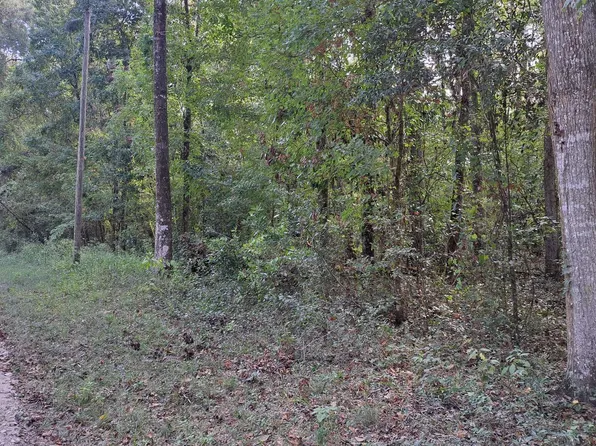 SW Illinois St Lot 47, Fort White, FL 32038