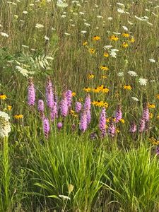 Us Highway 23 S, Posen, MI, 49776