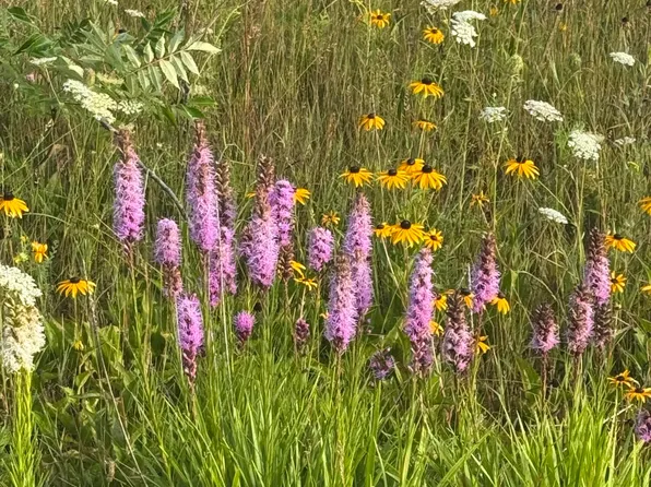 Us Highway 23 S, Posen, MI 49776