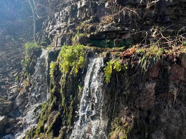 54 Suffolk, Theodosia, MO 65761