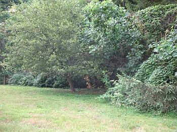 2nd image of 6334 Glen Rd
