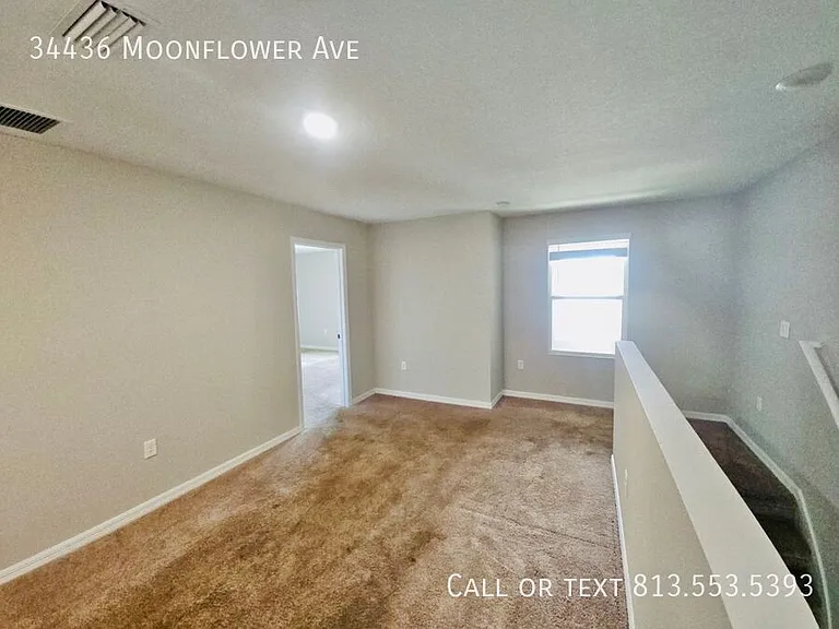 34436 Moonflower Ave — Photo 29