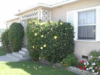 1st image of 6248 1/2 Gifford Ave