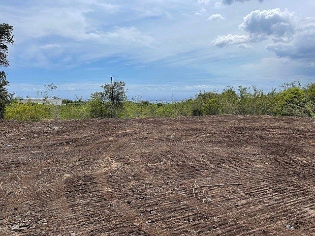 2nd image of Lot 7