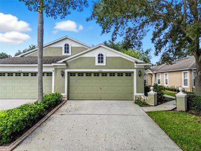 19120 White Wing Pl, Tampa, FL, 33647
