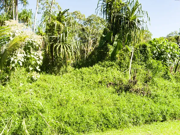 Haukeuke St Lot 1782, Pahoa, HI 96778