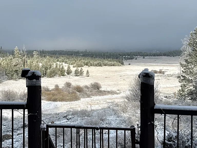 View on a snowy foggy morning.