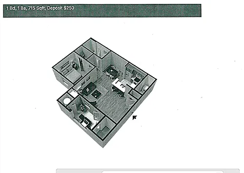 Floor plan 1 Bed