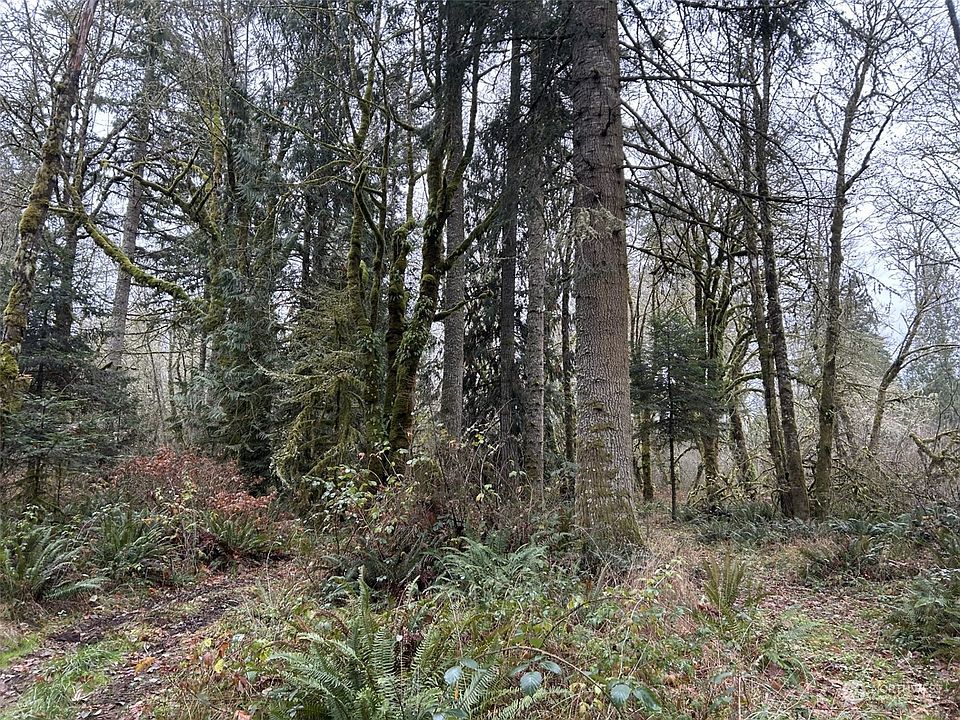0 Thompson Creek Rd, Tenino, WA 98589 MLS 2202573 Zillow