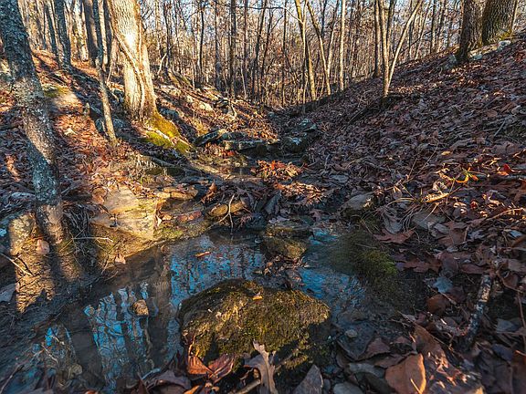 39th image of this home