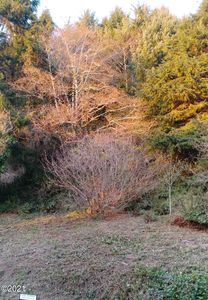 LOT 21 Sea Crest Ct, Otter Rock, OR, 97369