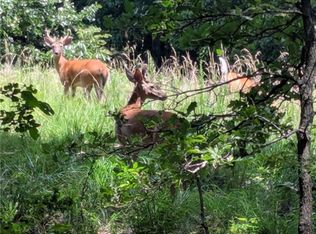 929 Madison St #5330, Huntsville, AR 72740