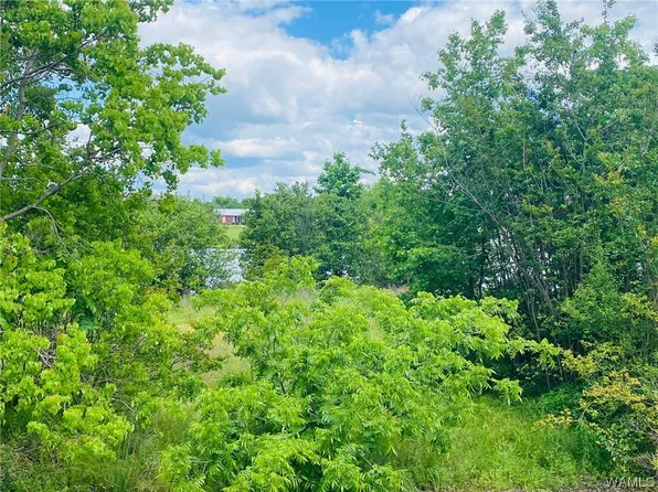1609 Lake Ave, Tuscaloosa, AL 35401