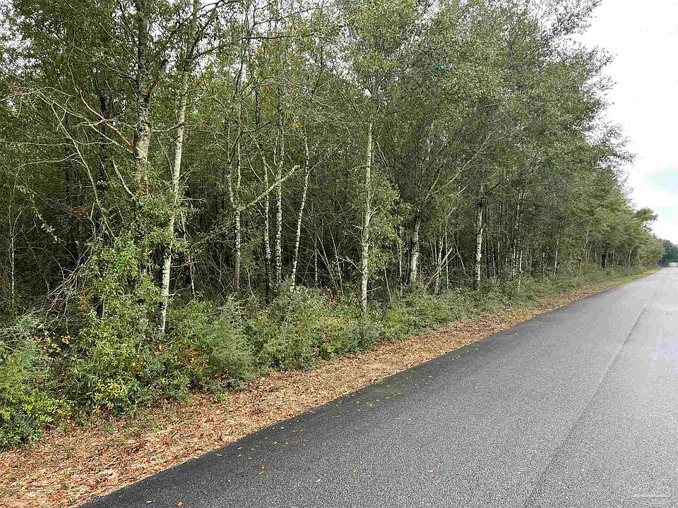2nd image of LOT 4 Horace Lunsford Rd