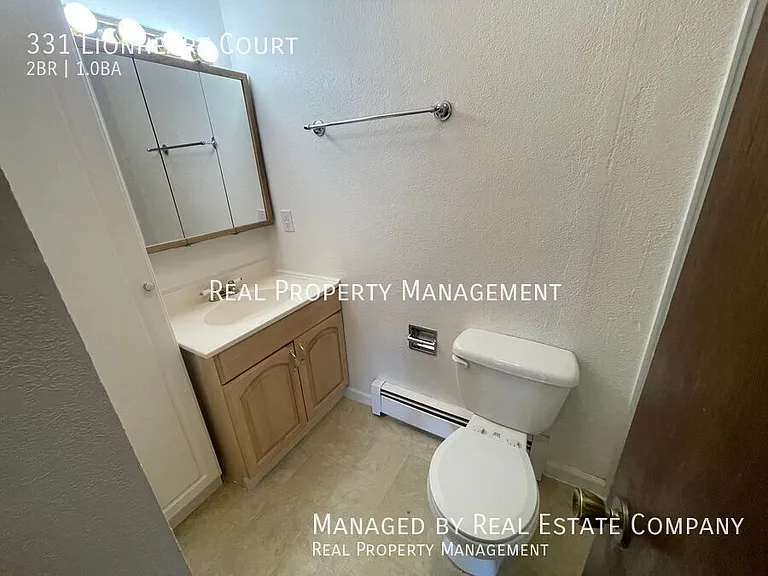 331 Lionheart Ct — Photo 8