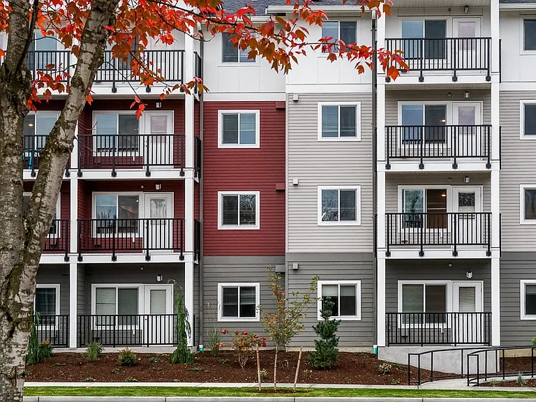 Reserve at Lacey 55+ Active Senior Living — Photo 4