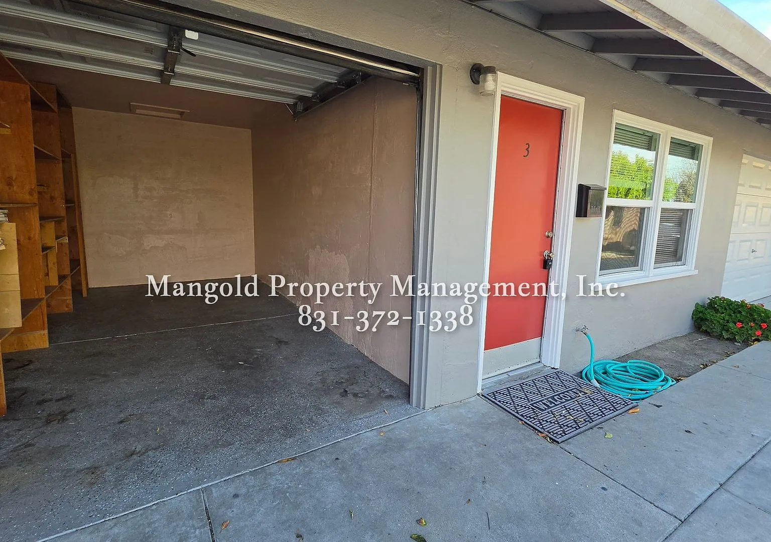 316rose — Photo 2