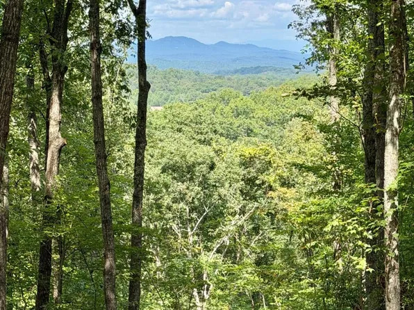 28 S Prospect Rdg, Blue Ridge, GA 30513